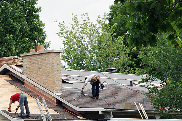 Best Roof Gutter Cleaning  in North Hornell, NY